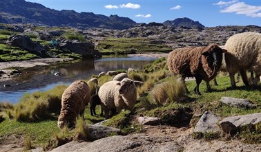 Argentina