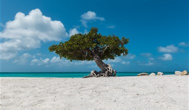 Aruba