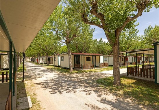 Camping Classe Lido di Dante - Itálie