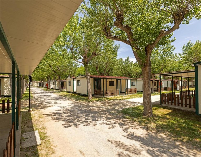 Camping Classe Lido di Dante