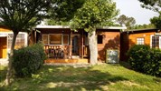 Camping Classe Lido di Dante