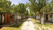 Camping Classe Lido di Dante