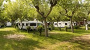 Camping Classe Lido di Dante