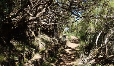 Madeira